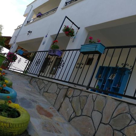 Kaymak Tepesi Tatil Evi Bed & Breakfast Küçükkuyu Ngoại thất bức ảnh