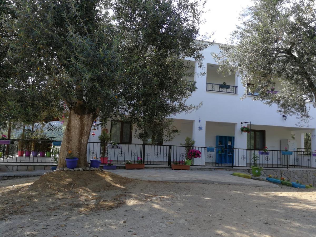 Kaymak Tepesi Tatil Evi Bed & Breakfast Küçükkuyu Ngoại thất bức ảnh
