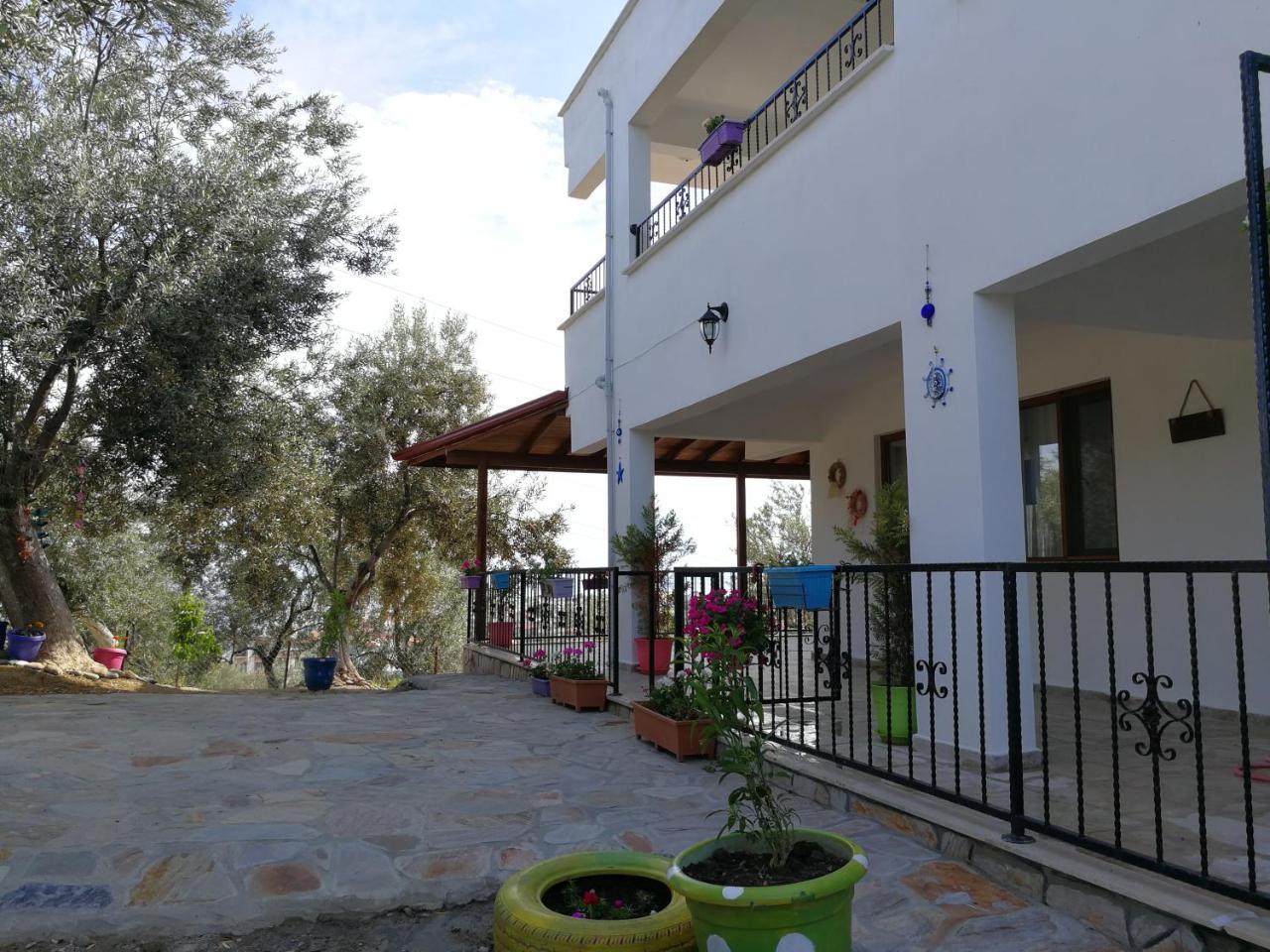 Kaymak Tepesi Tatil Evi Bed & Breakfast Küçükkuyu Ngoại thất bức ảnh
